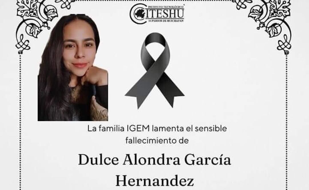 Dulce Alondra, el día de ayer perdió la vida al ser golpeada por la locomotora en los momentos en que intentaba tomarse una fotografía. Foto: especial