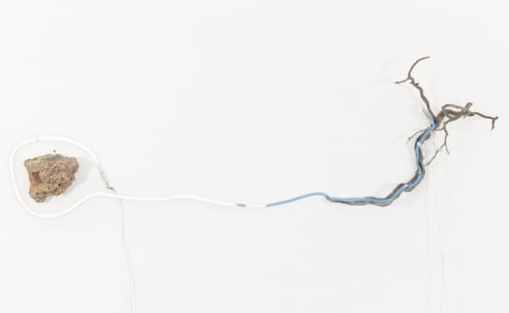 No hago arte para élites, curadores o coleccionistas: Gabriel Rico