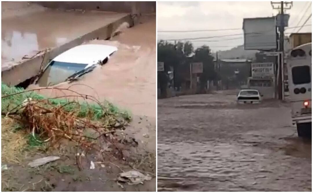 (Fotos: Amalia Escobar)