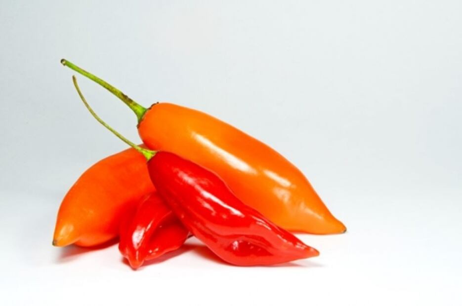 Conoce los ingredientes peruanos más icónicos