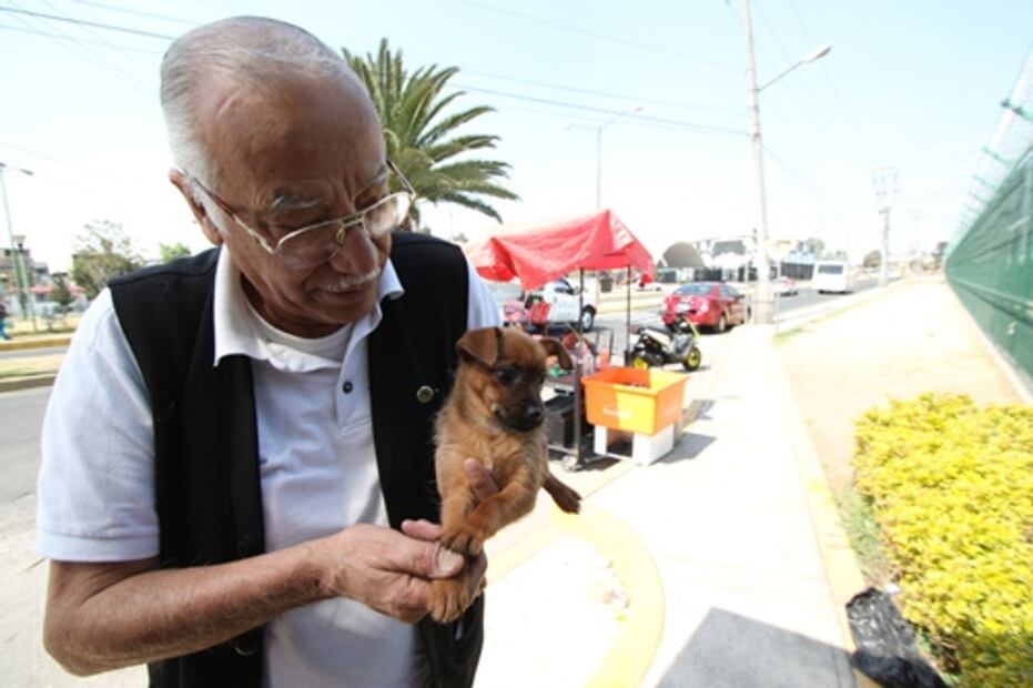 Agoniza Hospital Veterinario de CDMX por falta de recursos