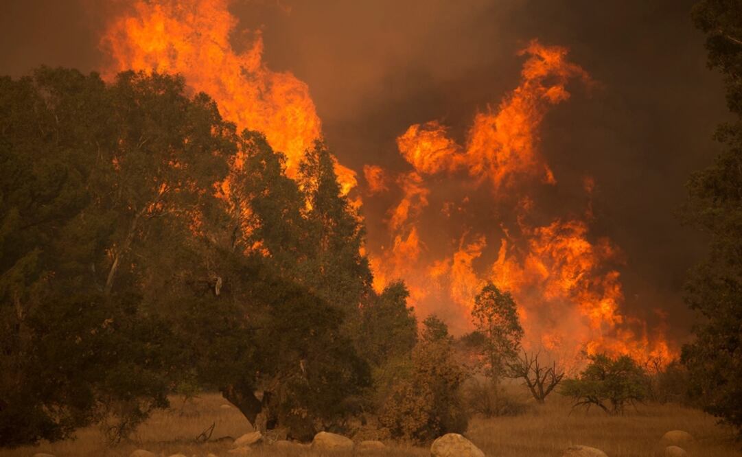 El fuego acabó consumiendo casi 20 mil hectáreas en abril de 2017. Foto: Facebook U.S. Forest Service