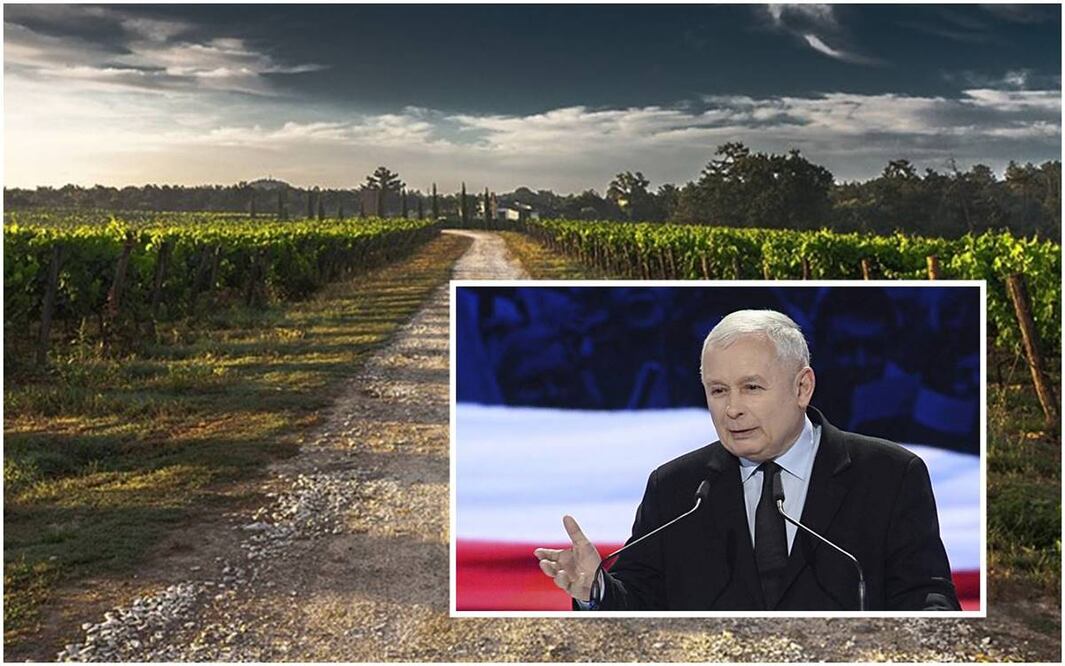 Presidente del gubernamental Partido de la Ley y la Justicia (PiS), Jaroslaw Kaczynski. Foto: Alik Keplicz/AP