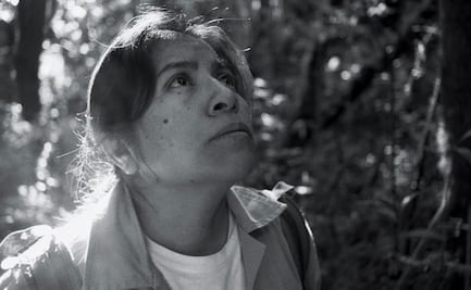 “La Reserva”: la película que expone los riesgos de defender la naturaleza en México