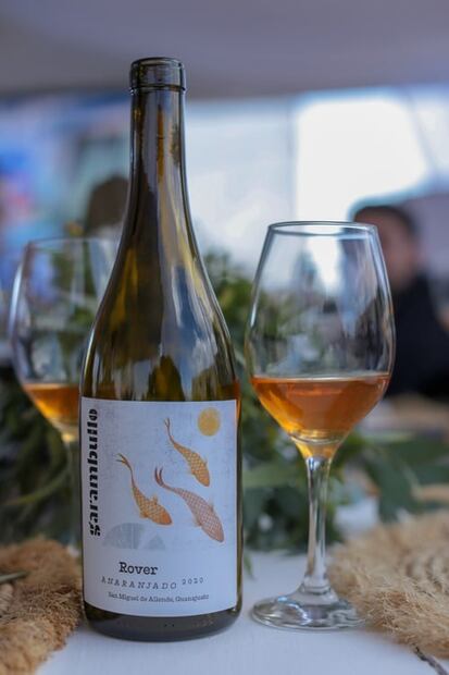 #Columna: Reflexiones acerca del Día del Vino Mexicano