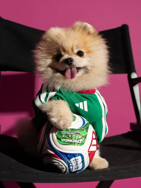 Jersey de la Selección Nacional Mexicana de Futbol. Foto: Adidas