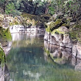 Profepa clausura 30 empresas por contaminar el Río Atoyac