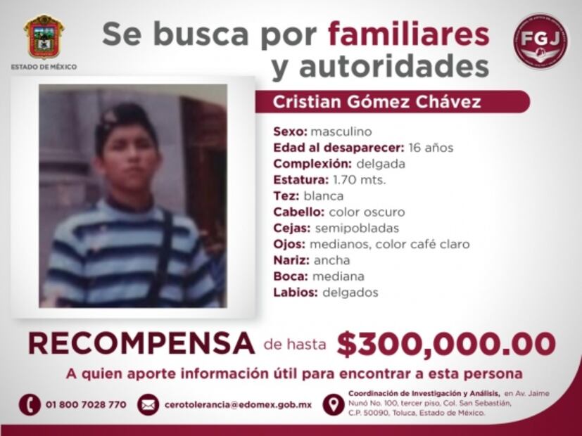 Raúl y Cristian Gómez fueron a la feria de San Isidro en Metepec y los secuestraron