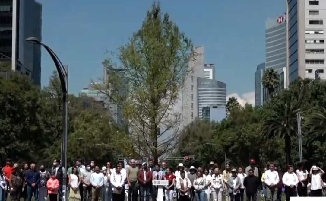 Claudia comentó que el ahuehuete fue donado por un vivero de Nuevo León. Foto: Tomada de video