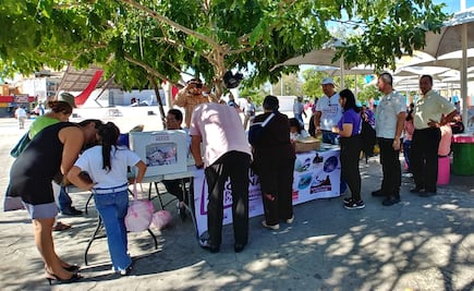 Comunidades indígenas aceptan construcción de Tren Maya, dice gobierno federal