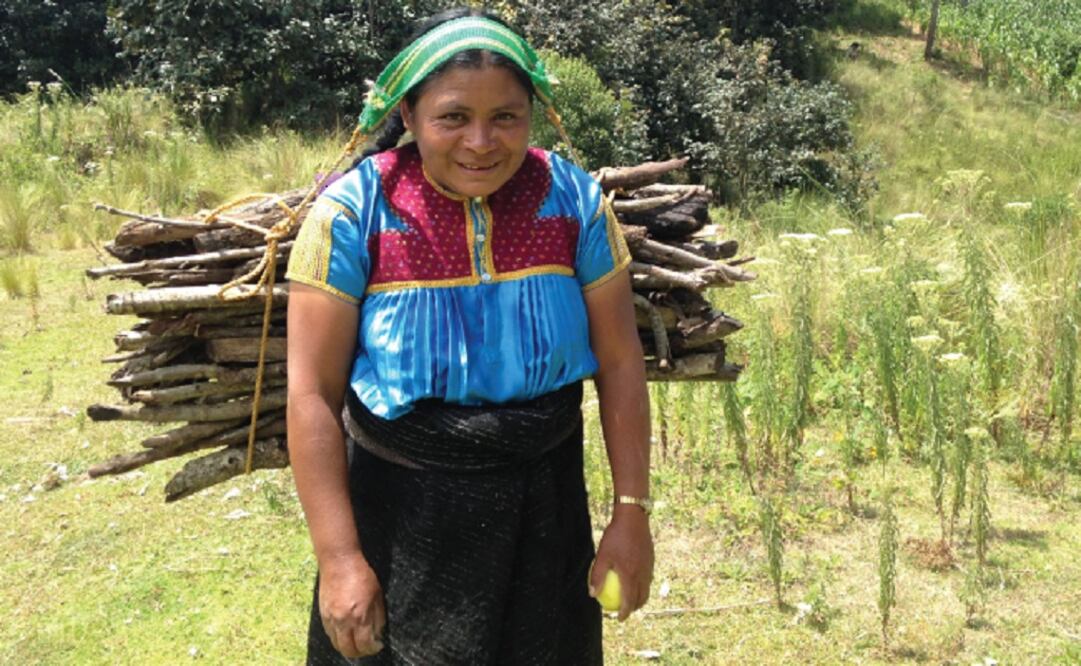 5 puntos clave para promover el empoderamiento de las mujeres campesinas hacia el desarrollo sostenible