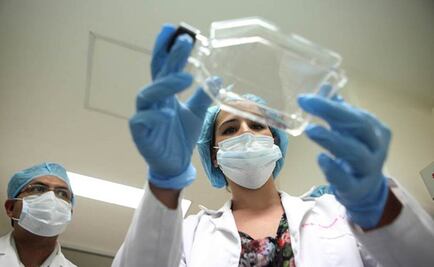 Virus de Hepatitis B contraataca el sistema de defensa