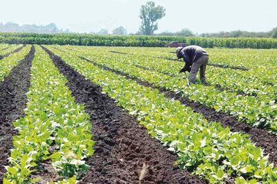 Fortalecer seguridad, clave para éxito de ZEE: Banxico