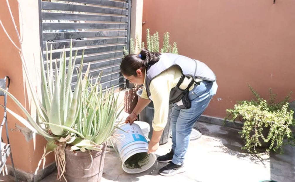 Baja California Sur suma 186 casos de dengue; Los Cabos concentra 74 contagios.
Foto: Especial.