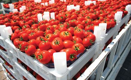 Farm losses surge in Mexico amidst fuel shortage