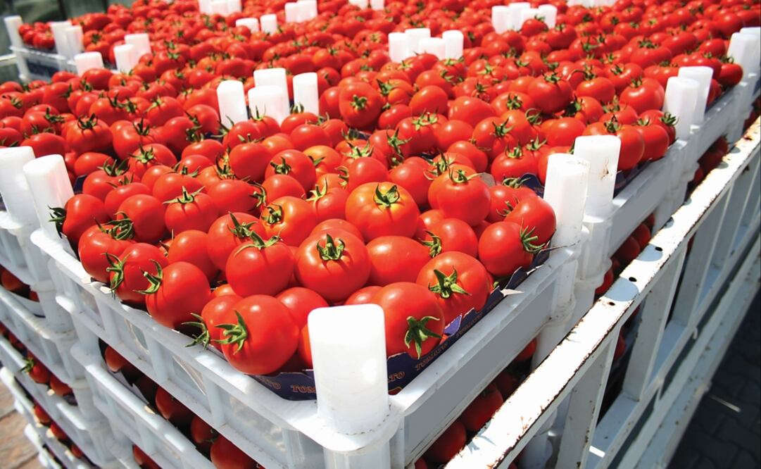 “In the next 10 days, if this issue isn’t resolved, I think we will have a serious shortage of perishable food,” claimed the head of Mexico's Farm Council - Photo: File photo/EL UNIVERSAL