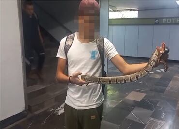 Detectan a menor con serpiente en Metro Potrero; no contaba con permisos para portarla