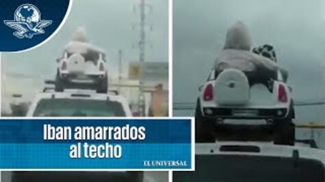 Niños que viajan en toldo de camioneta en Jalisco