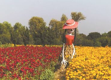 Familia de Tlaxcoapan vive de la muerte: producen ataúdes