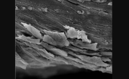 Cubierta que imita la piel humana tiene dureza de un diente