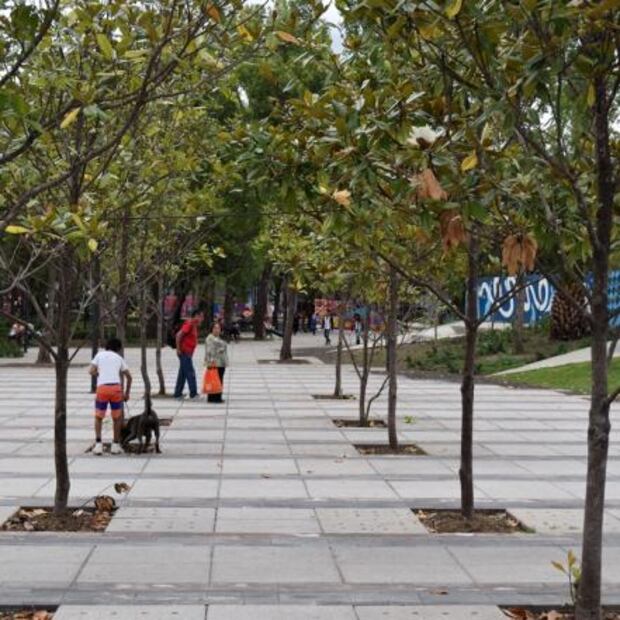 Entérate. Cinco lugares para pasear a tu perro