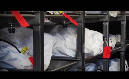 Colectivo denuncia entrega irregular de al menos 151 cuerpos de personas no identificadas a universidades de Jalisco