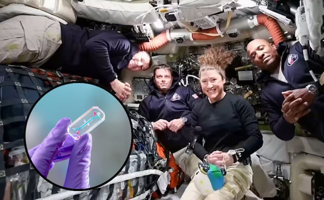 Artemis II: de cambios en la visión a alteración en ADN; química alerta efectos fisiológicos en la tripulación tras sobrevuelo lunar