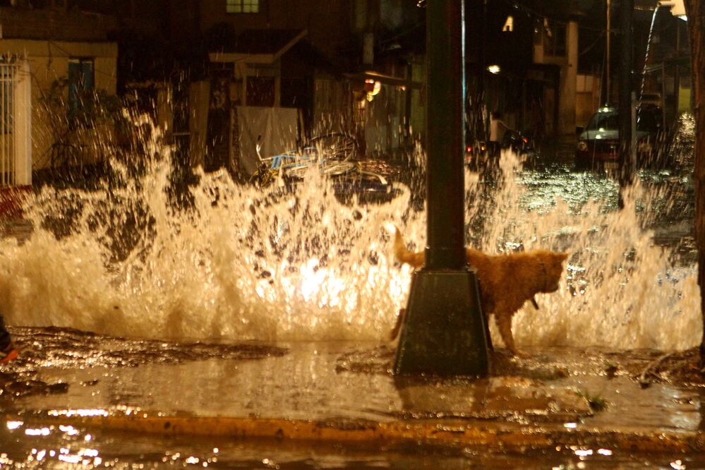 Archivo / EL UNIVERSAL