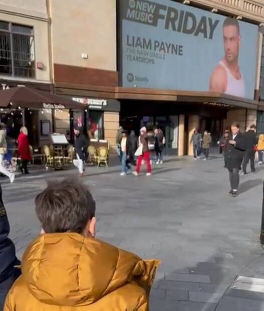 Bear Grey, el hijo de Liam Payne, tiene siete años; en mayo, su padre compartió esta foto en sus redes sociales y escribió: "Quiero estar un día en cartelera papi".