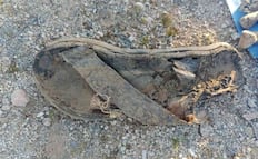 Colectivo de buscadores descubre panteón clandestino en desierto de Sonora; hallan 16 fosas y restos óseos