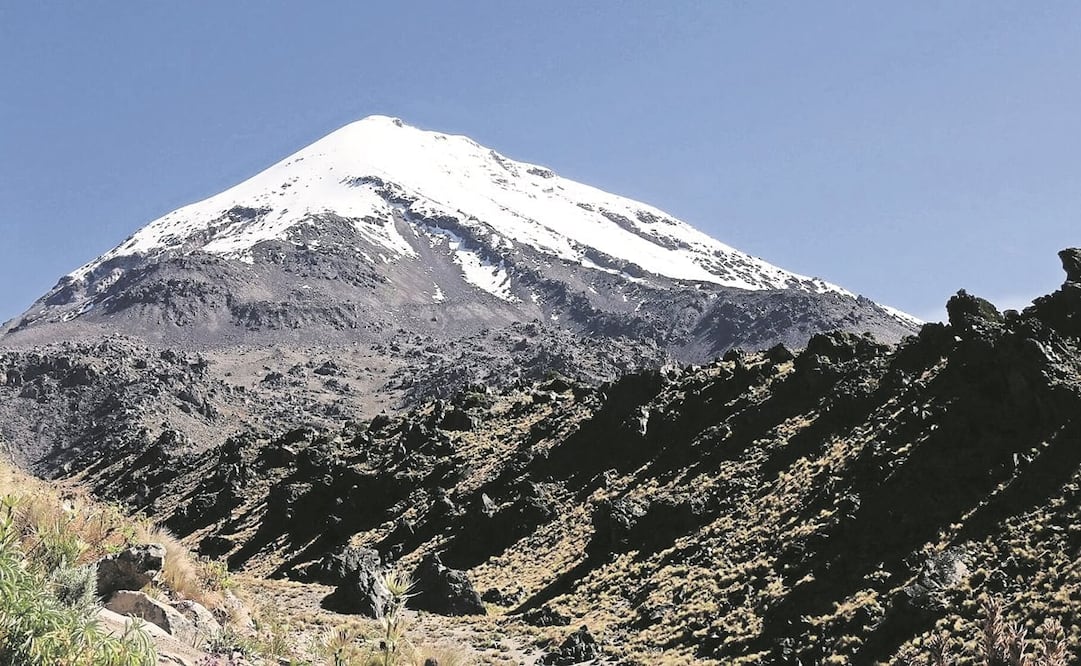 Foto: Archivo / EL UNIVERSAL