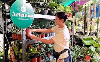 Señoras de las plantas, se arma el Plant Fest 2026 en CDMX