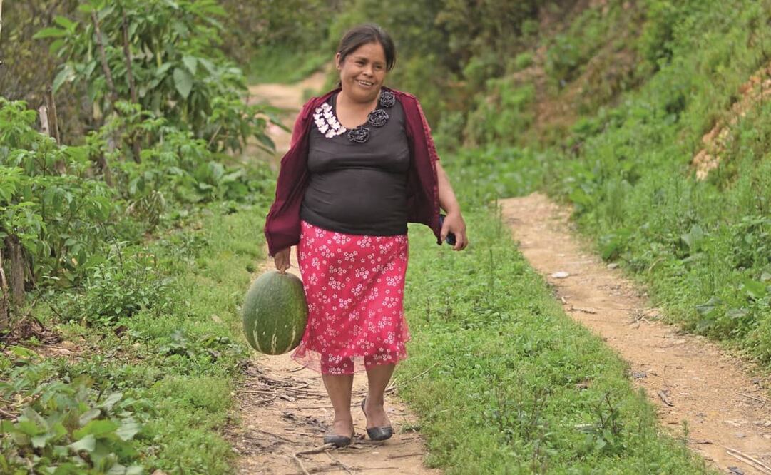 Actualmente, Hermelinda vive en Tlapa, Guerrero, y es defensora de los derechos laborales de las jornaleras y jornaleros. Fotos: Salvador Cisneros. EL UNIVERSAL