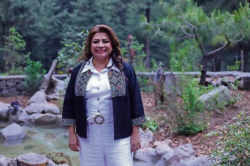 Brugada dijo que combatirá la tala ilegal.  Foto Especial