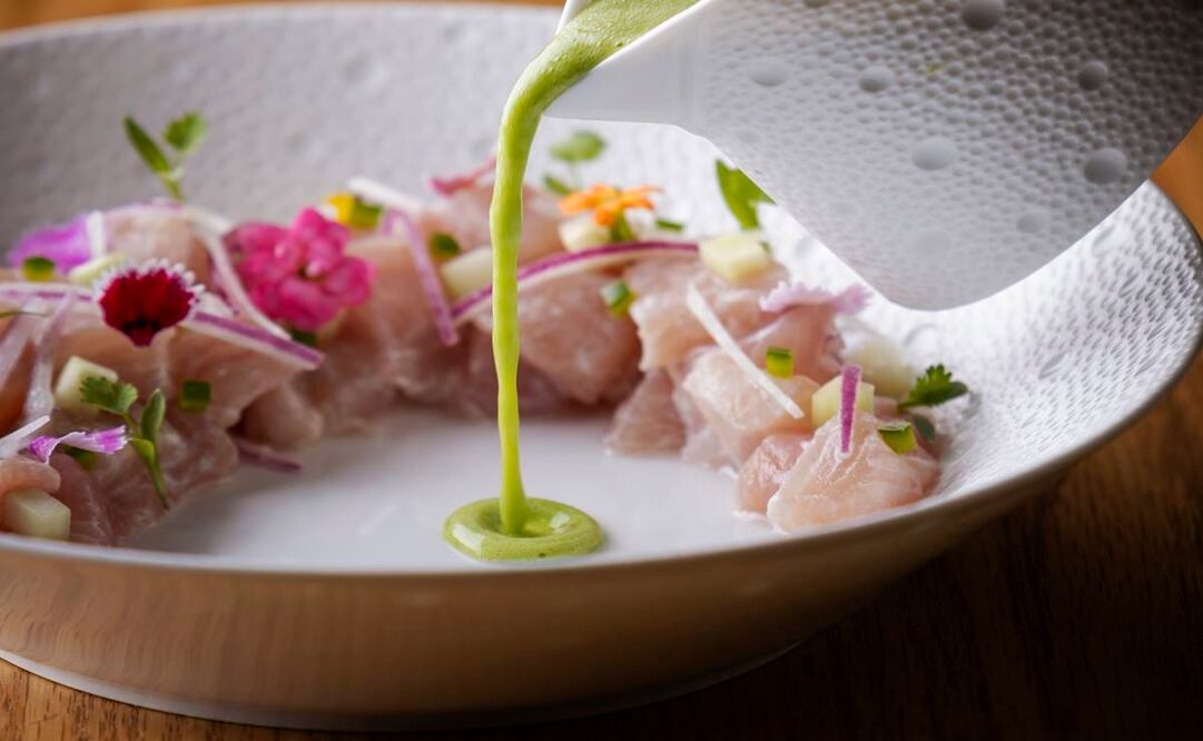 Ceviche Verde de Agua y Sal: Pesca del día en salsa de chile jalapeño y cilantro, aguacate, jícama, pepino y cebolla morada con un toque de sal de mar de Celestún, Yucatán.