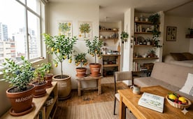 Tu propio huerto en macetas; estos 6 árboles frutales soportan el frío y dan frutos en casa