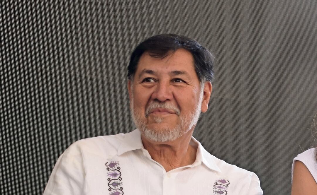 Gerardo Fernández Noroña, presidente del Senado. Foto: Especial