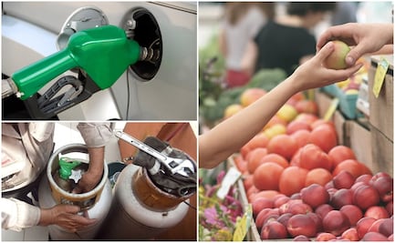 ¿Cómo van los precios del consumidor en canasta básica, gasolinas y gas LP según la Profeco?