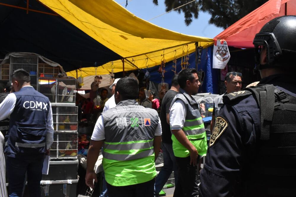 Además se decomisaron siete aves pequeñas y cinco conejos / Especial