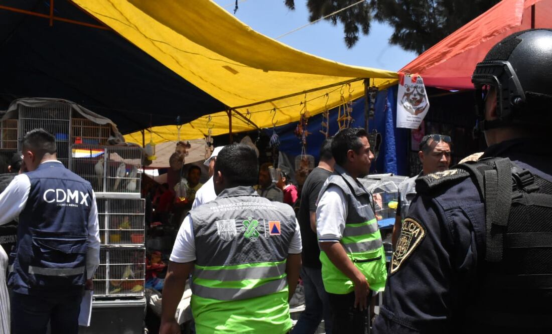 Además se decomisaron siete aves pequeñas y cinco conejos / Especial
