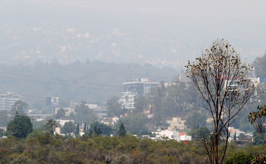 (Foto: Archivo/El Universal)