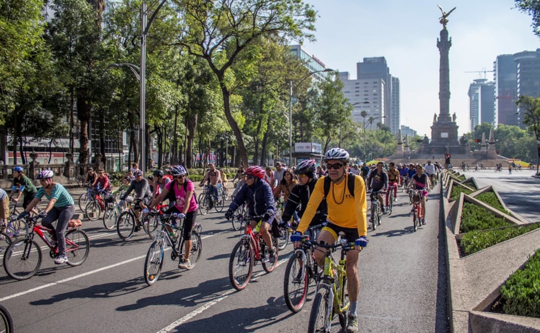 Archivo / EL UNIVERSAL