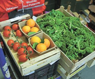 México responderá si Estados Unidos bloquea exportaciones: SE