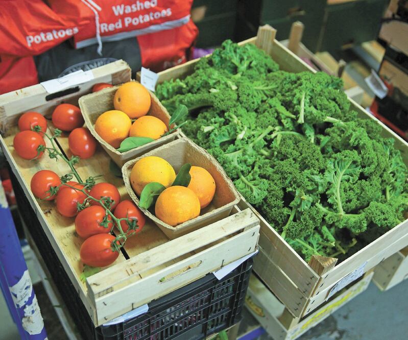 Los ocho productos que plantean restringir en EU dejan hasta 6 mil mdd anuales de exportaciones. Foto: ARCHIVO EL UNIVERSAL