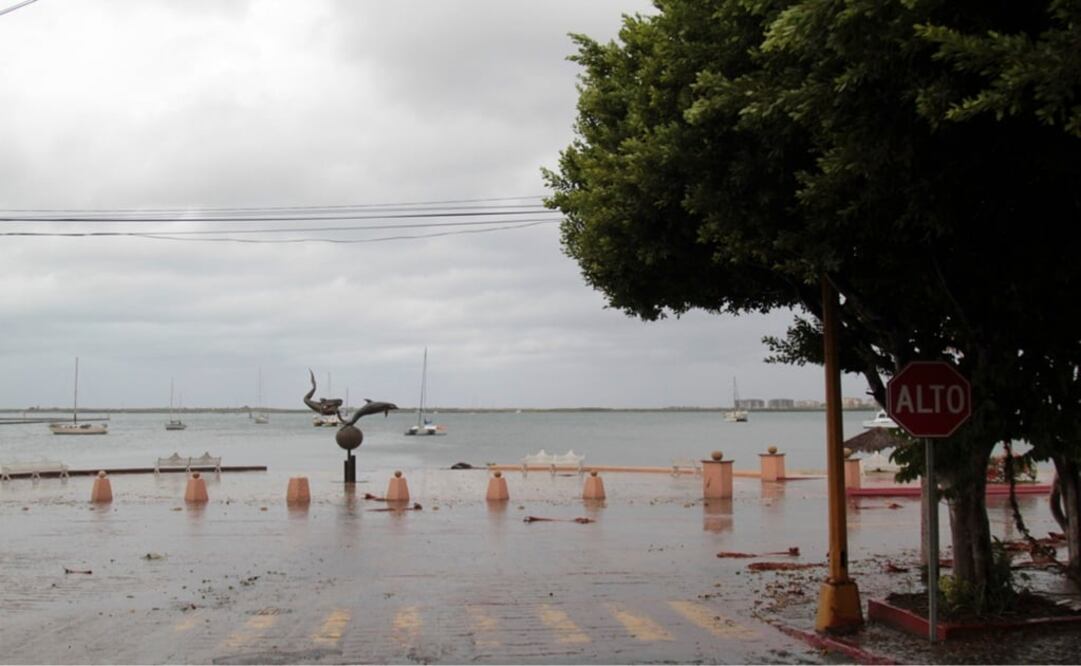 Foto: Archivo/ Cuartoscuro              