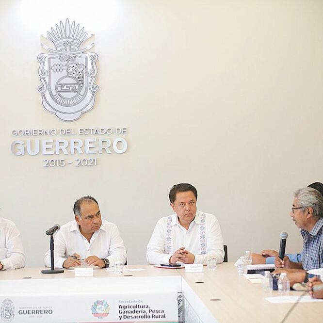 En reuniones con productores y el gobernador Héctor Astudillo se determinó agilizar la entrega del insumo y aumentar las toneladas donde se necesite. ESPECIAL