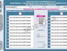 Oposición tunde diseño de boletas de elección judicial; “la lista definitiva la harán Monreal y Adán Augusto”, dice Döring