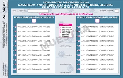 De colores y distintos tamaños, Comisión del INE aprueba boletas para elección judicial; falta voto del Consejo General  