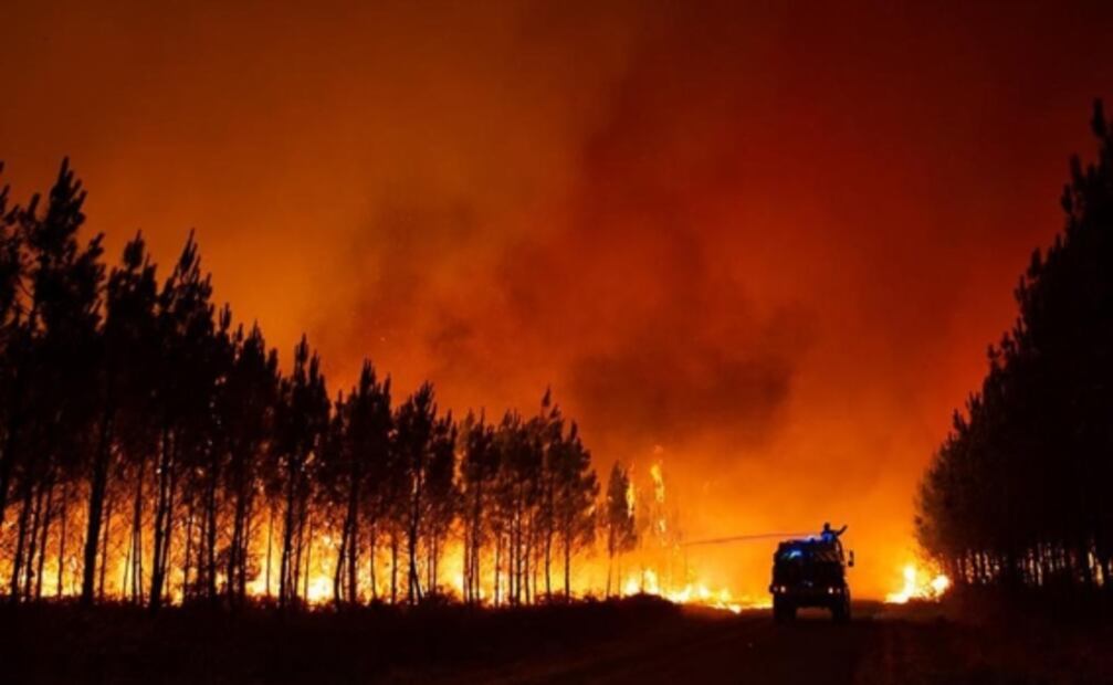 Ola de calor desata incendios forestales y muerte masiva de peces en Europa