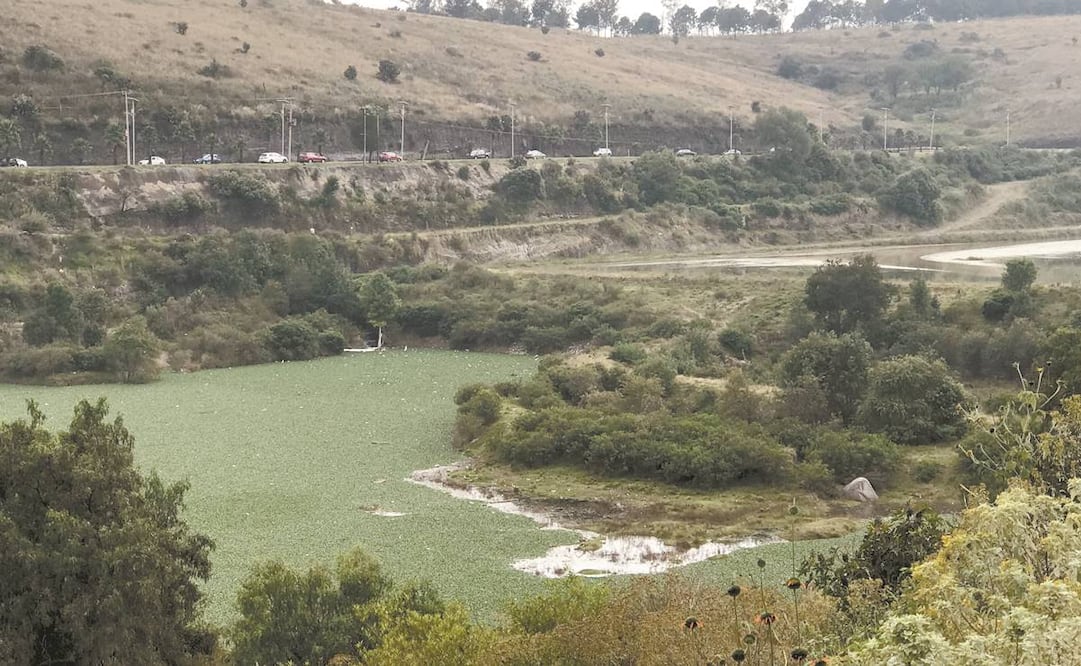 La presa se diseñó para generar 500 litros por segundo y sólo potabiliza 300 para Atizapán, Naucalpan y Tlalnepantla. Foto: Rebeca Jiménez/ El Universal.